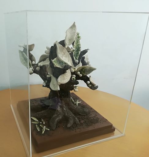 "Homenaje" Cercedilla Hogar Don Orione
